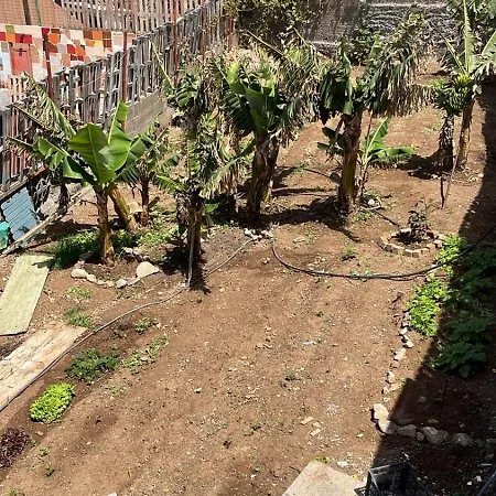 Estudios Kylie Y Evelyn