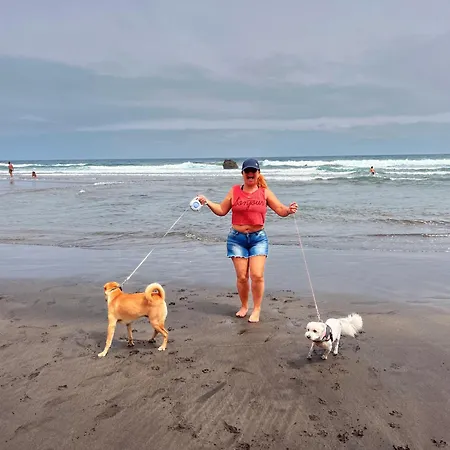 Estudios Kylie Y Evelyn Apartmán *