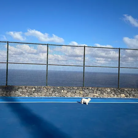 Estudios Kylie Y Evelyn Apartmán